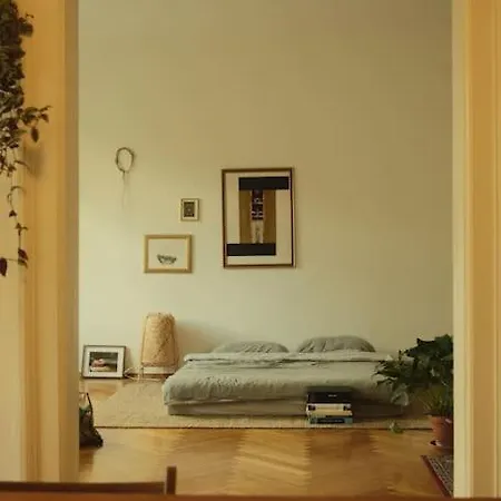 Apartment Spacious In Center