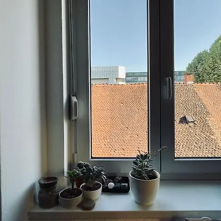 Spacious In Center *