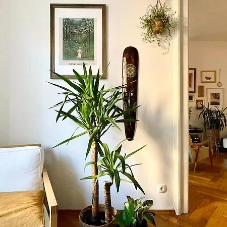 Spacious In Center Apartment