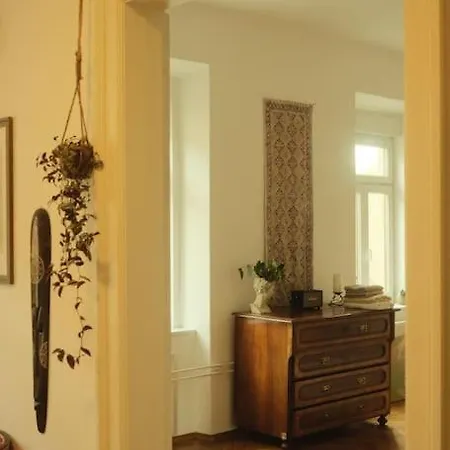 Apartment Spacious In Center *